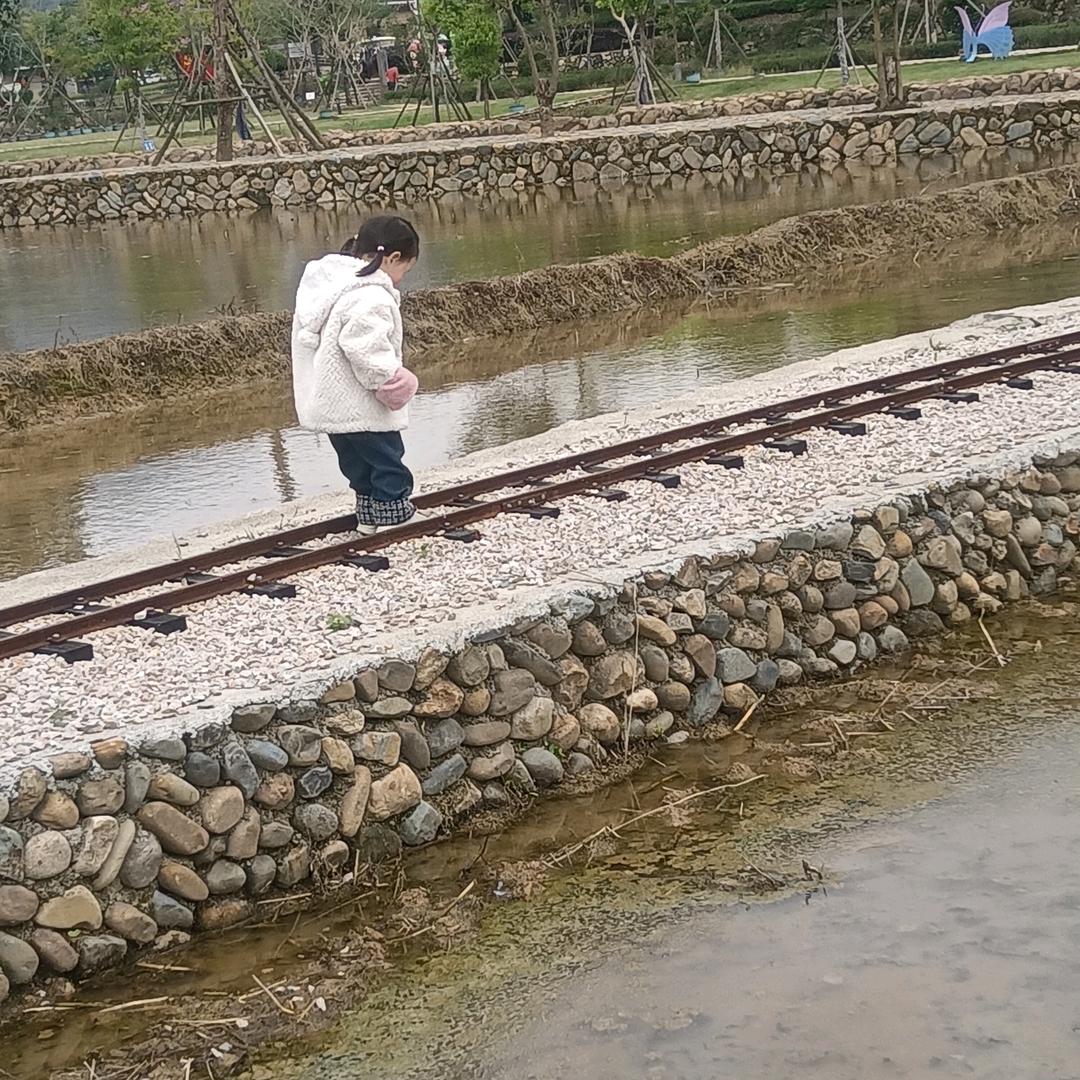 泰蒙