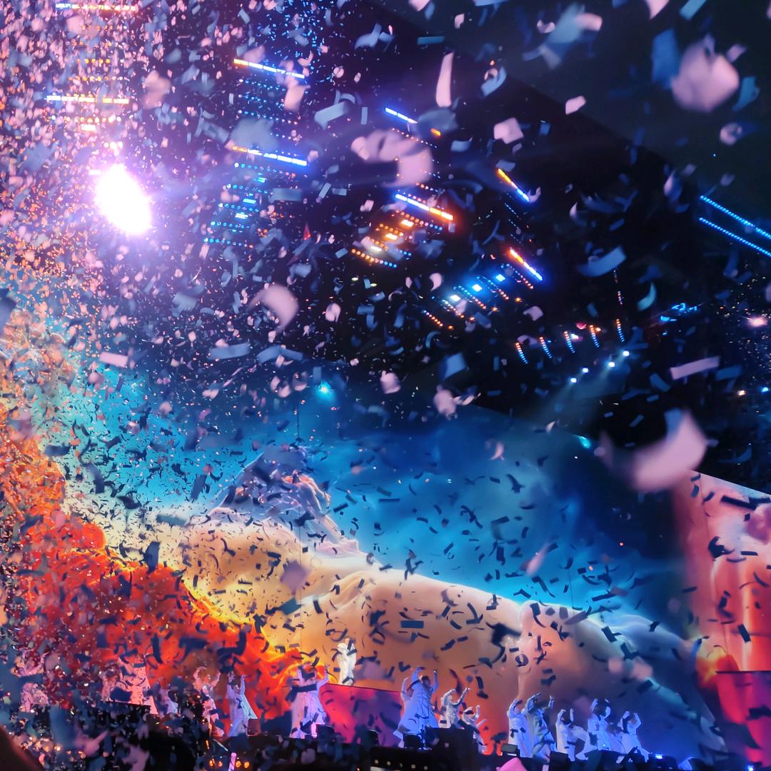 捡了小猫叫苍狗