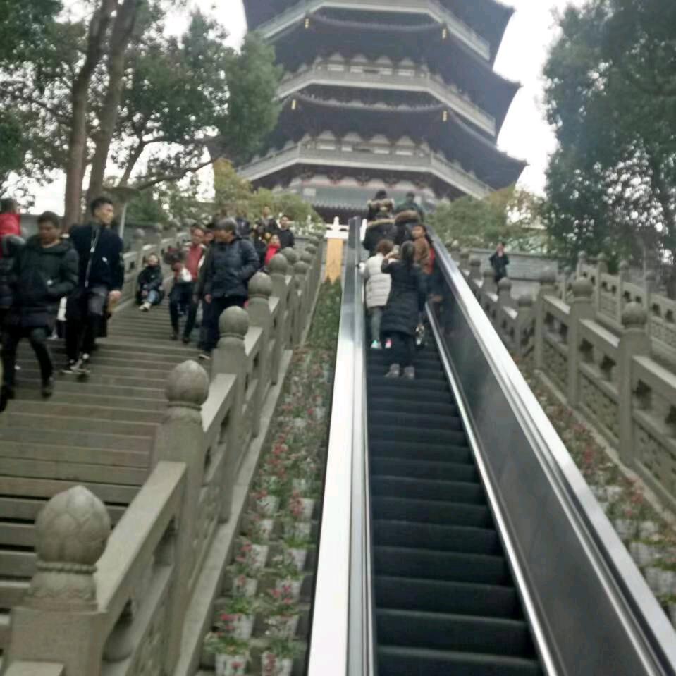 龙哥