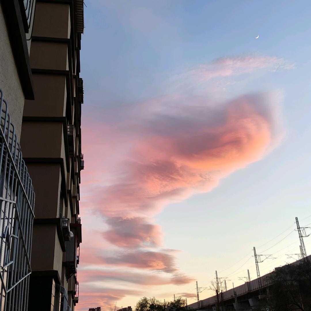 三七