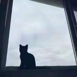 海岸.