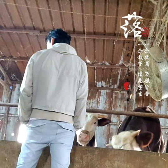 @“小辉爱酿酒”@