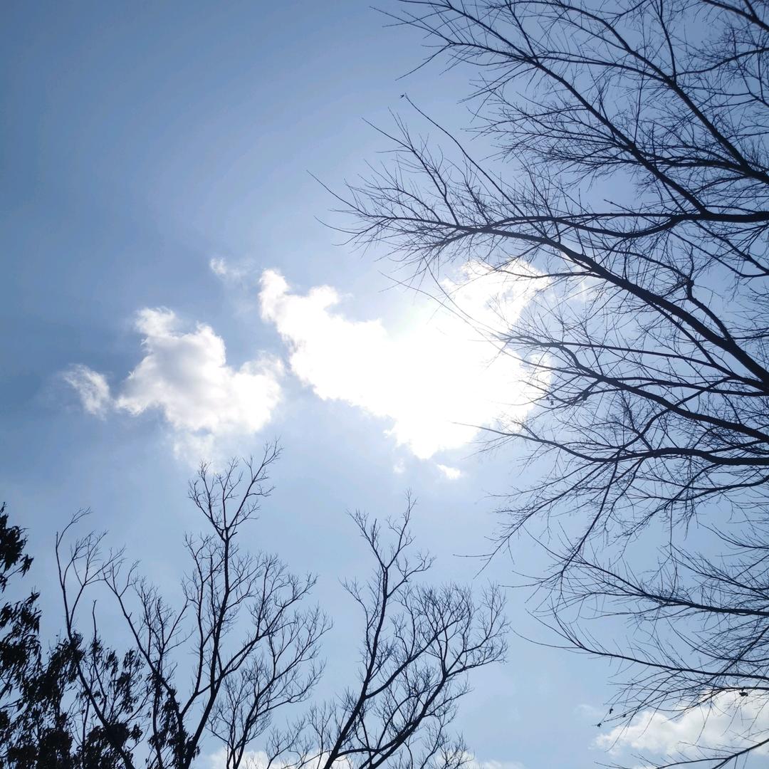 老牛口吃矫正说