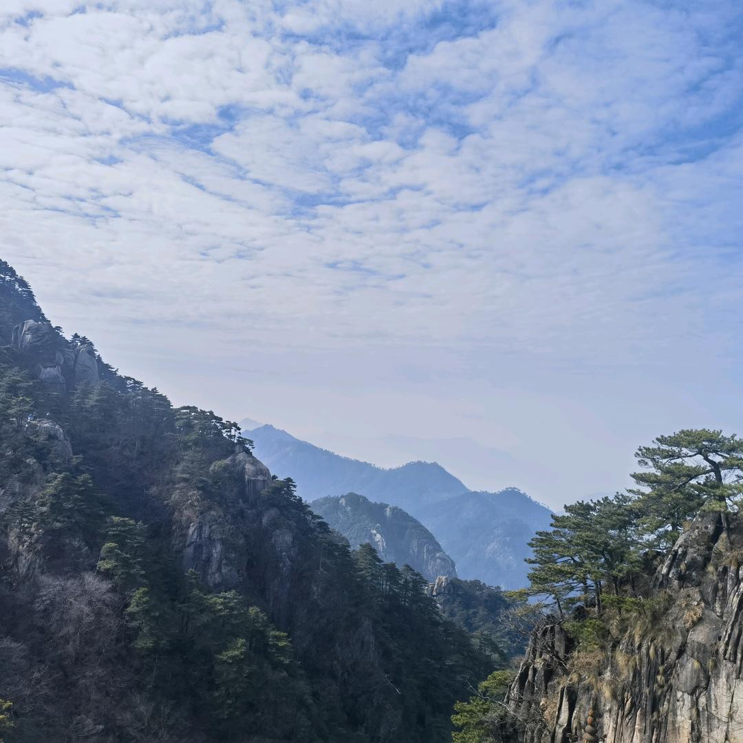 沈小巷