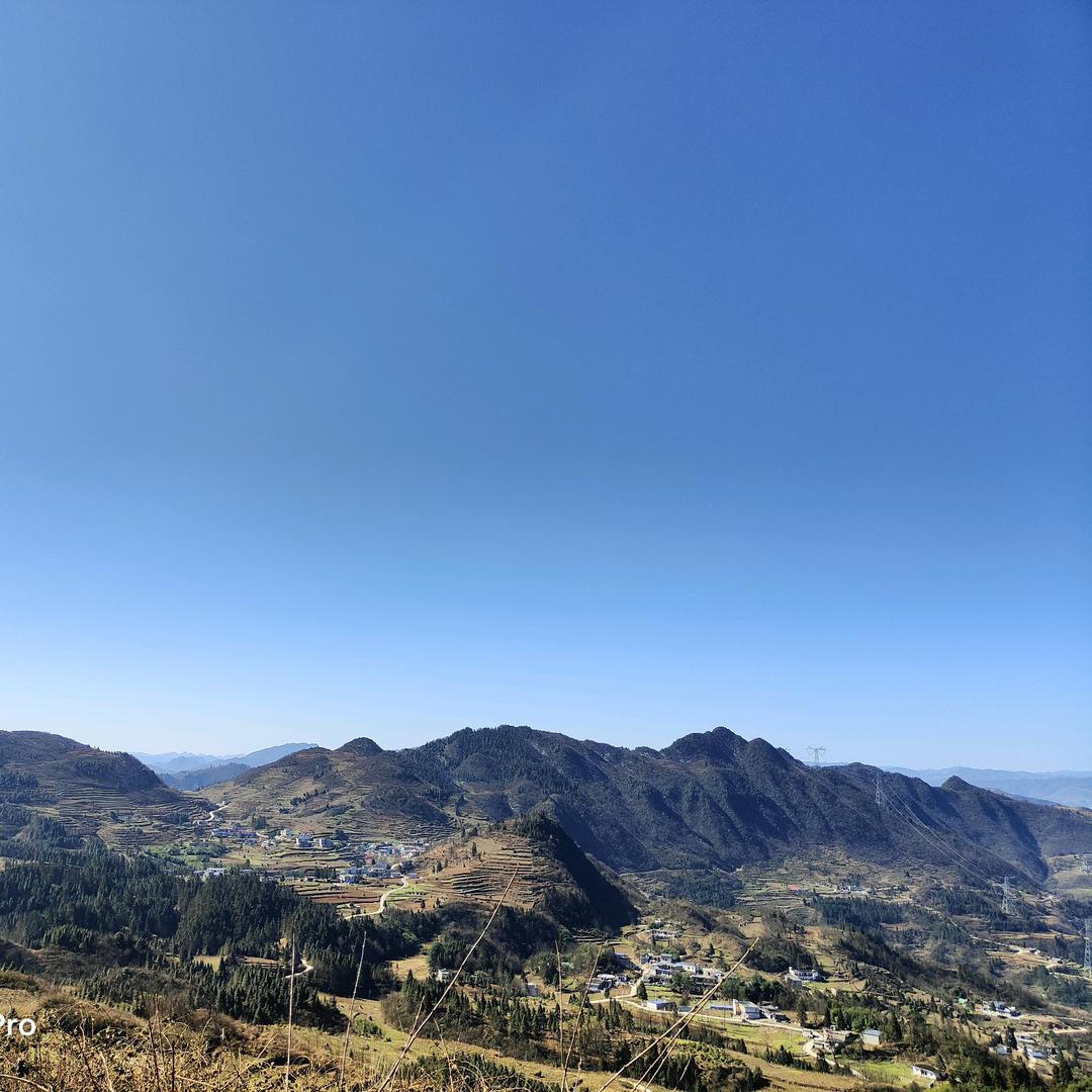 活着