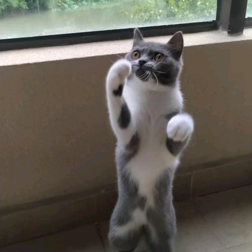 杨松