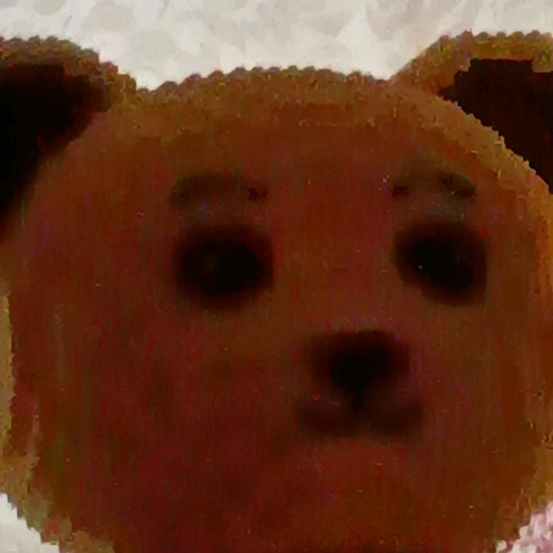 马赛熊