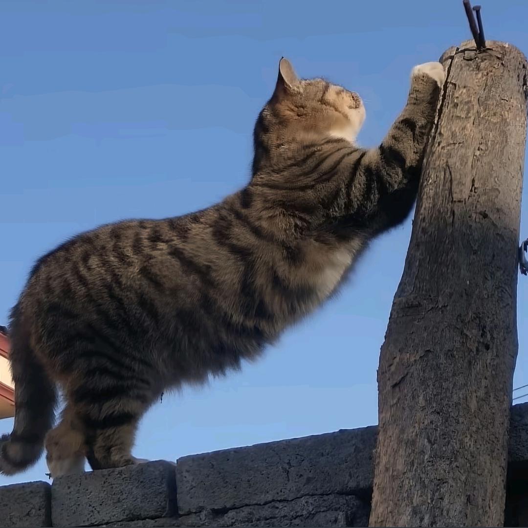 吹吹人间发财风