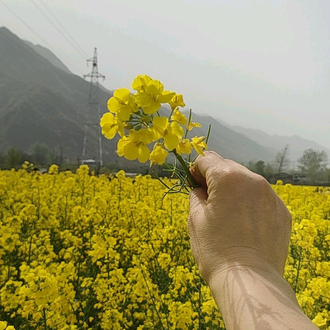 女人就要活成土匪