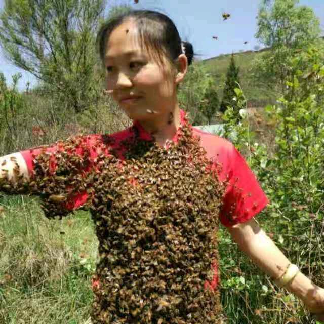 蜂姐说蜜
