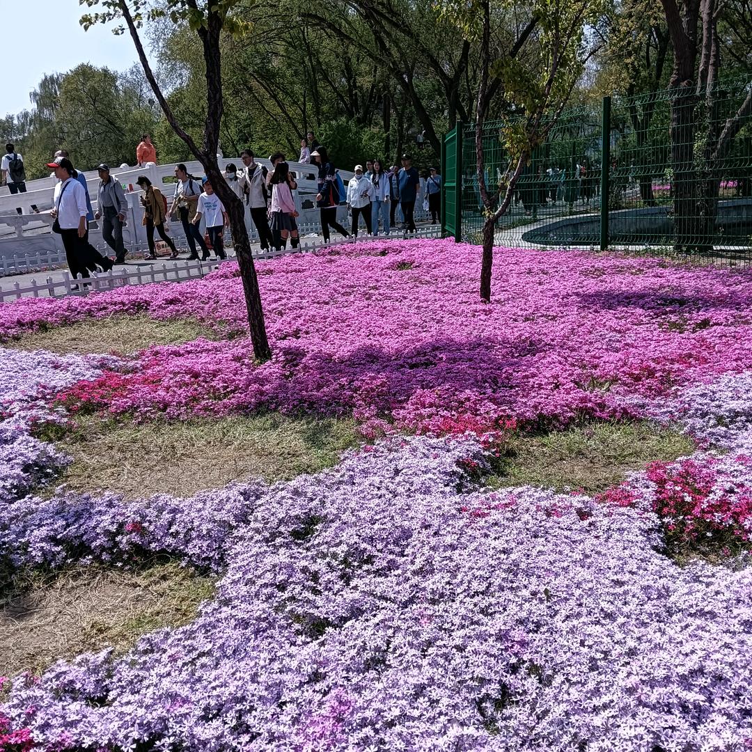 一生平安