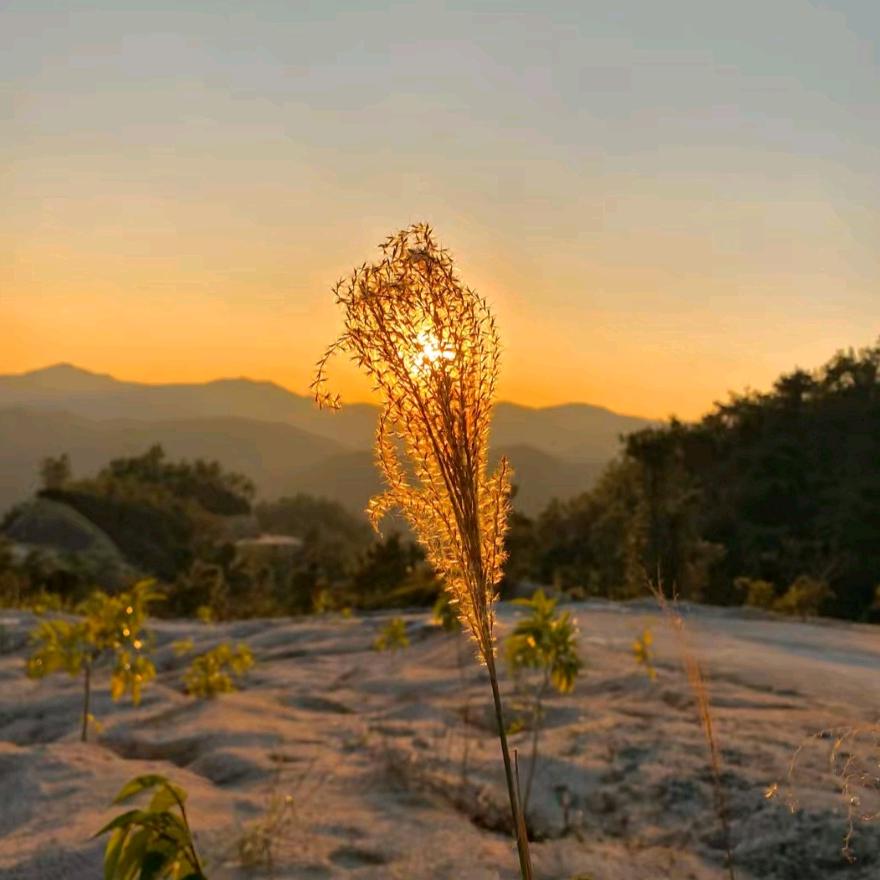 宜都市放格文艺馆（个人独资）