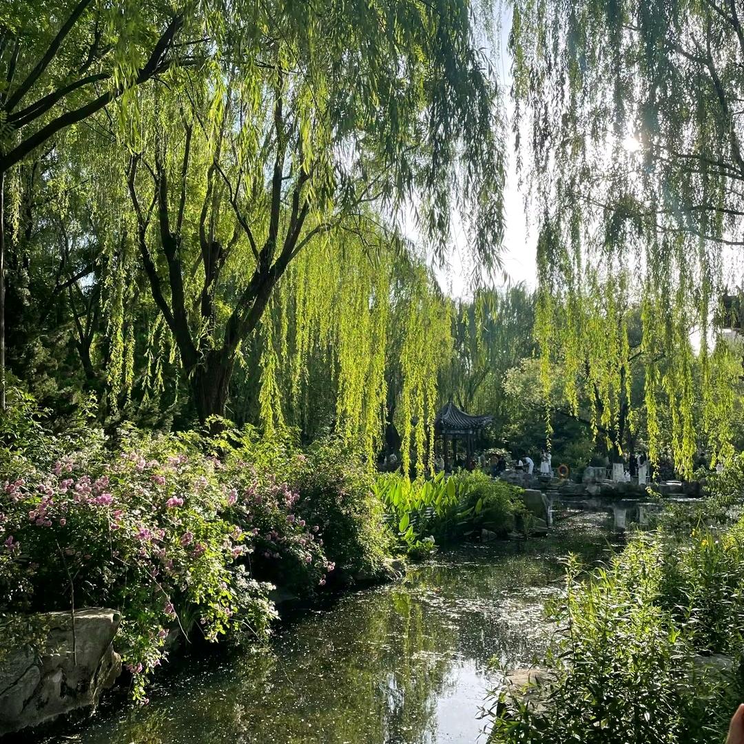 白天不懂夜的黑