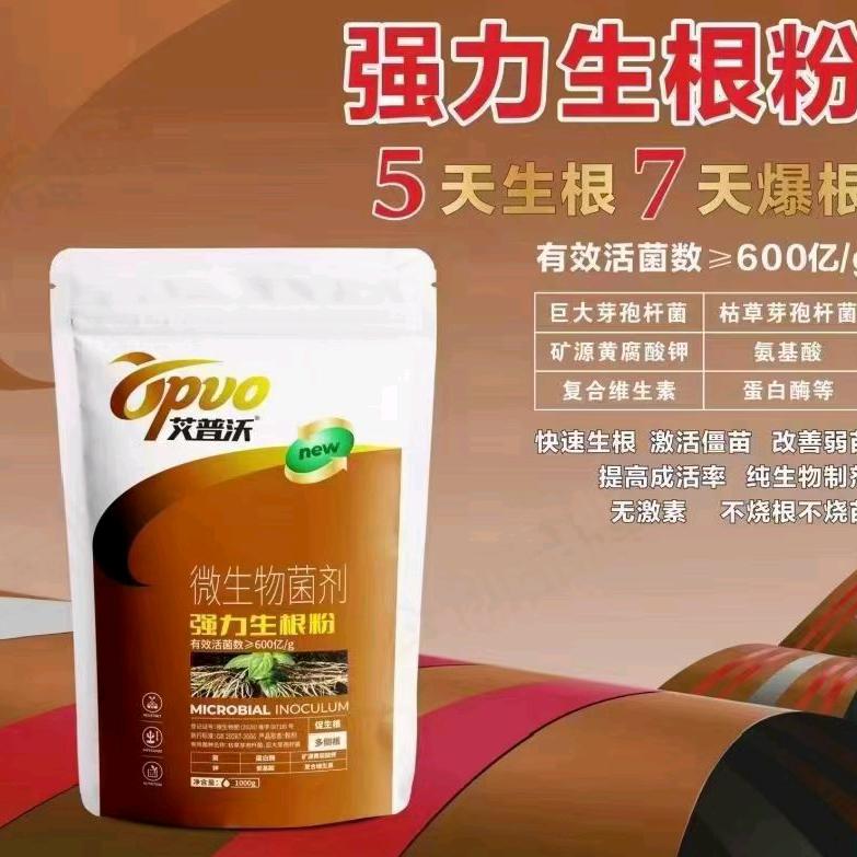 谁家的小仙女