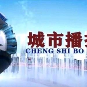 晋琳印象