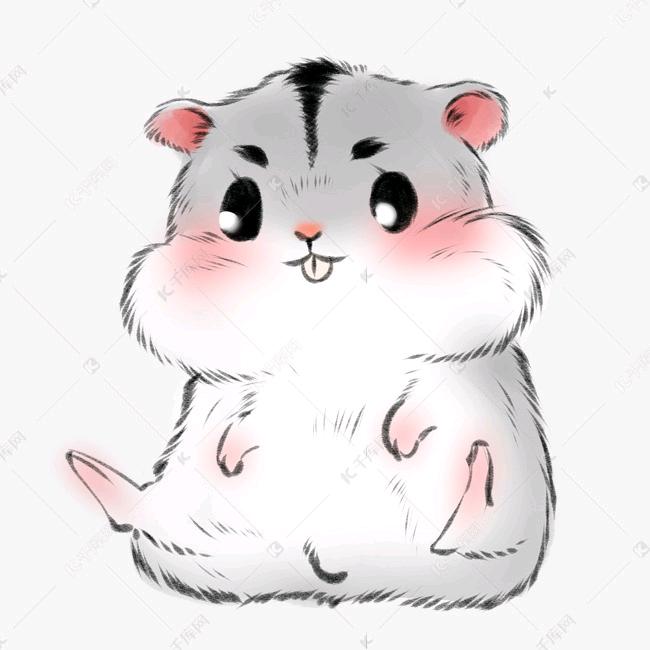 西雅图的小可爱