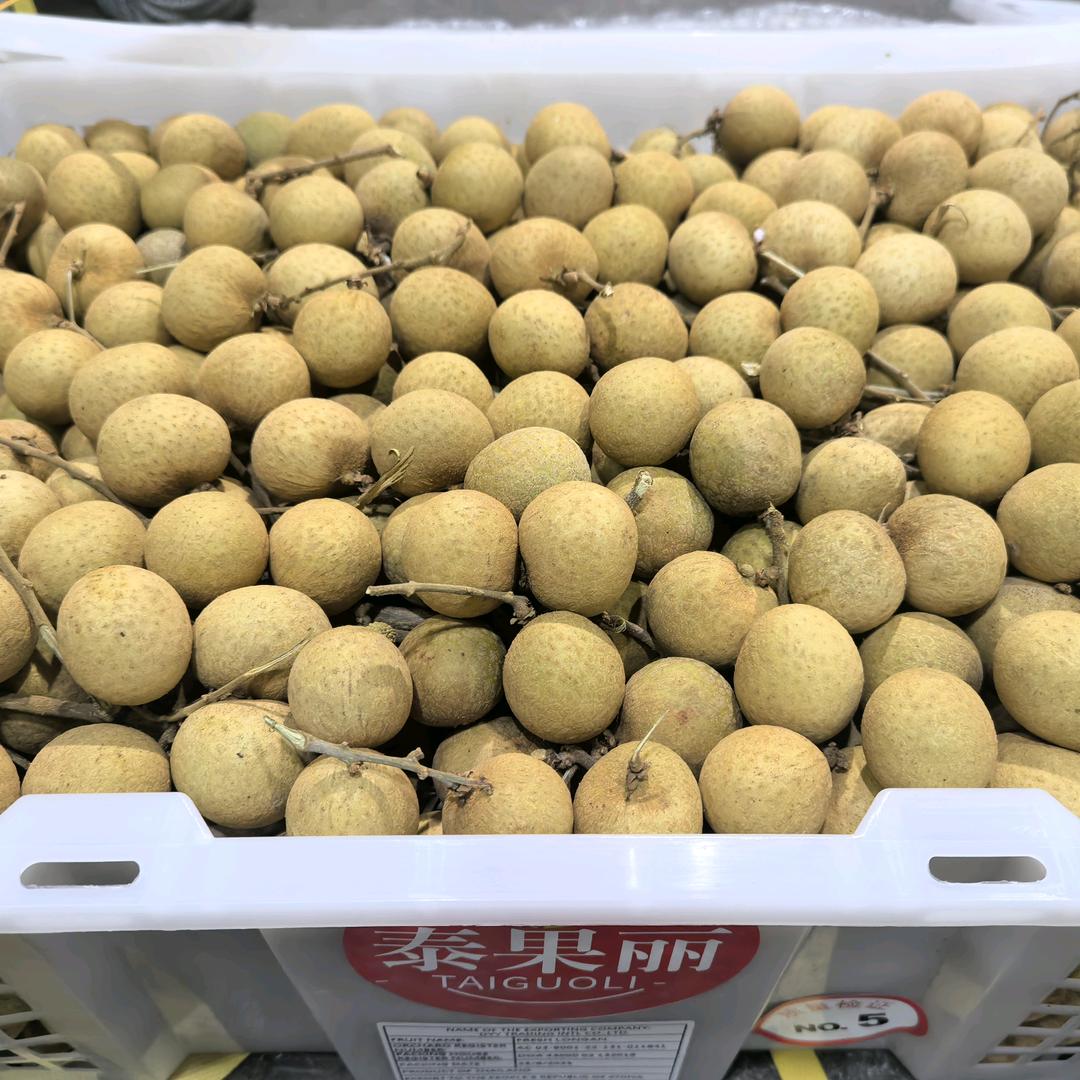 泰果丽泰安逸精品龙眼头像