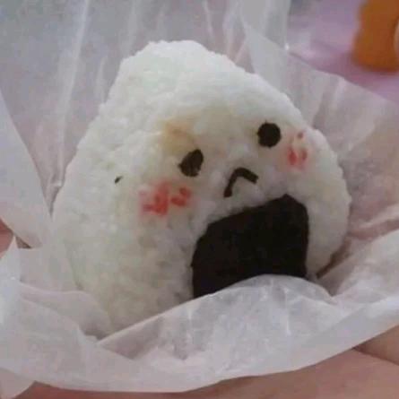 猫猫大王₍˄·͈༝·͈˄*₎◞ ̑̑