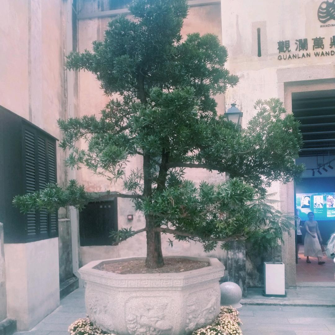 力量而行