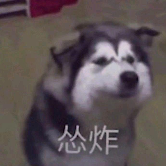 羽落华沙