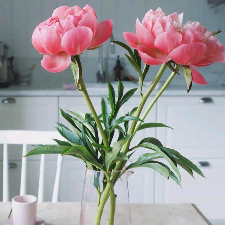 兰心姐🌹
