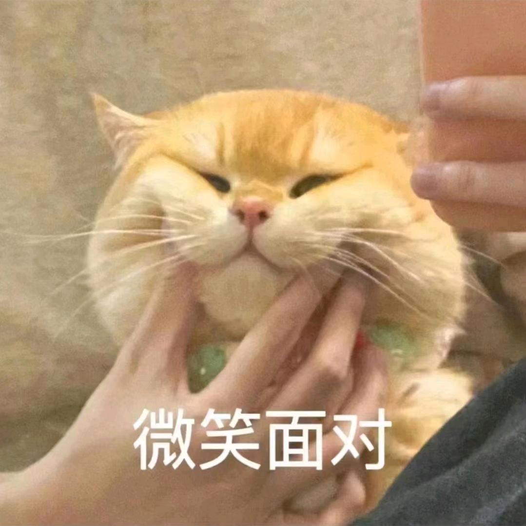 纪夏岸泉代头像