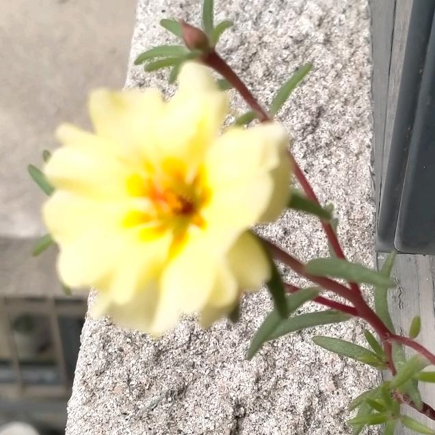 命中注定！！！