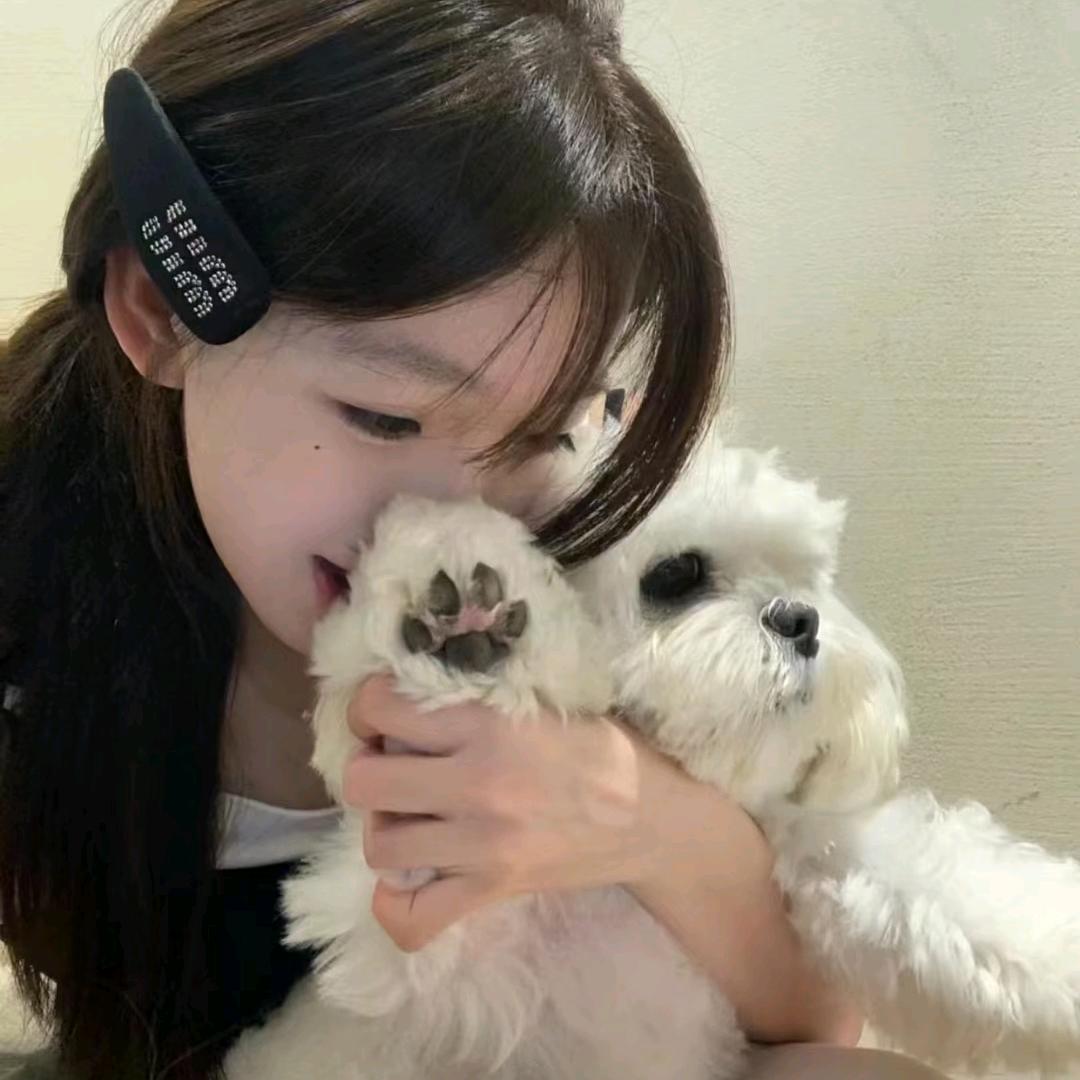 橘子皮