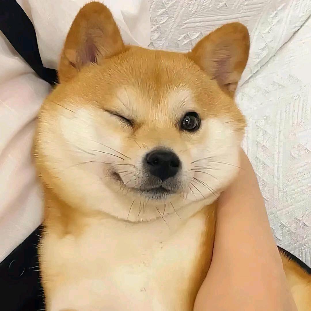 惠惠