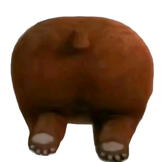 脑壳像个电饭锅