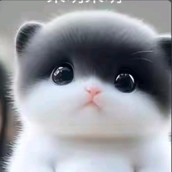 㤁㤁