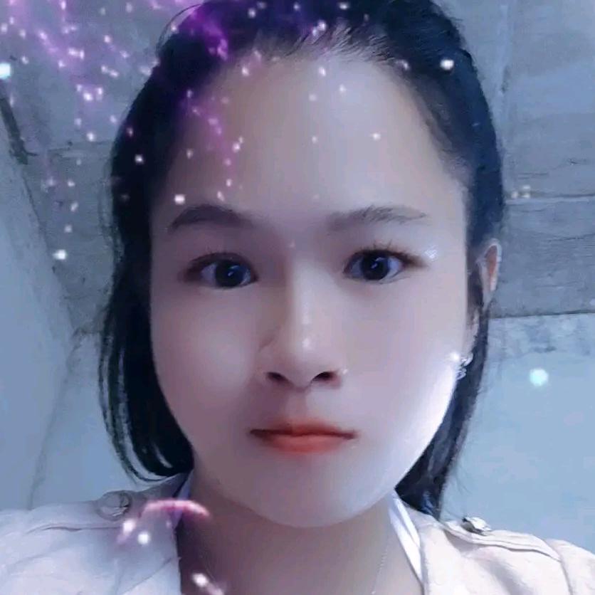 美丽天鹅