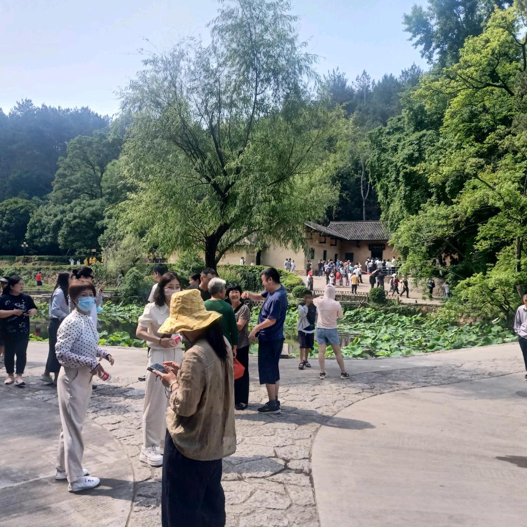 畅安先生