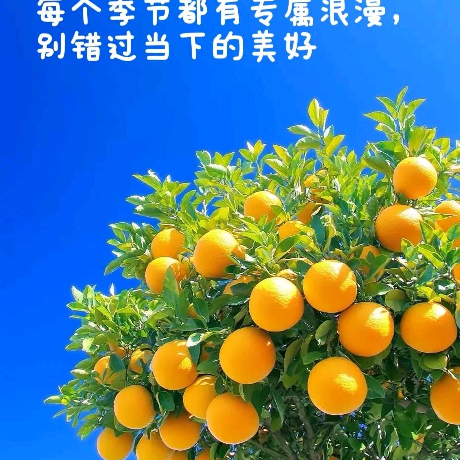 931