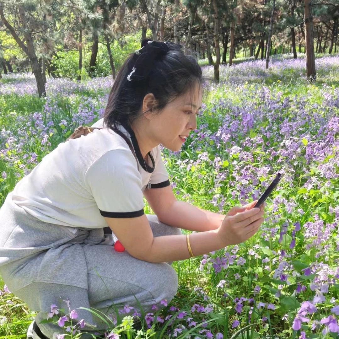 报考规划张老师