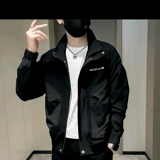 韩磊