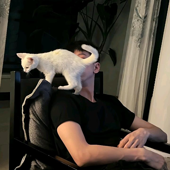 不熬夜的kk