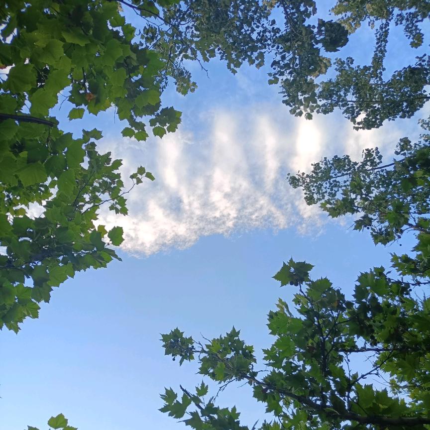 陈宇樊