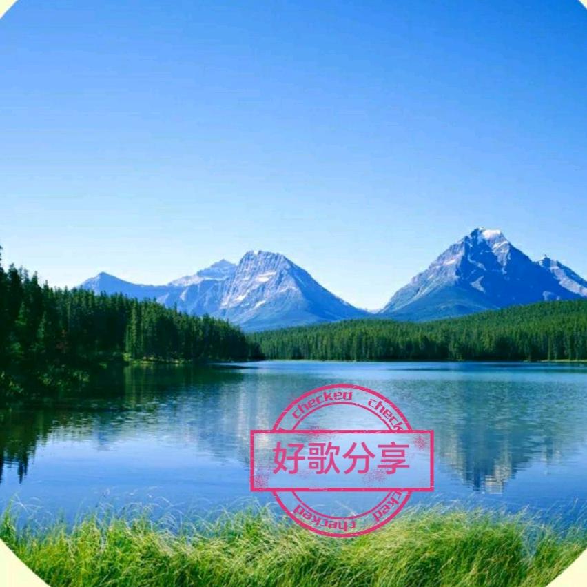 好歌分享