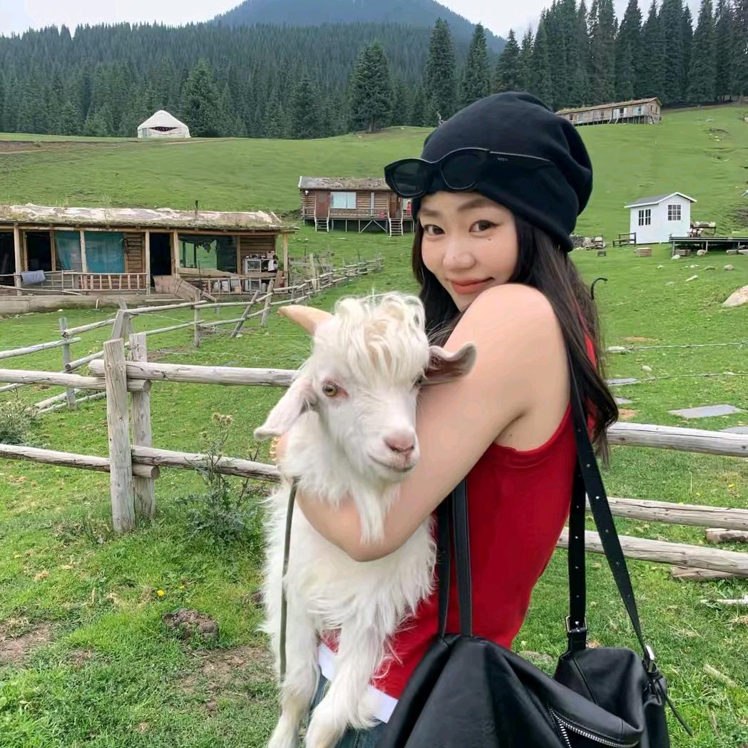 大婉酱微胖定制（秋季上新）