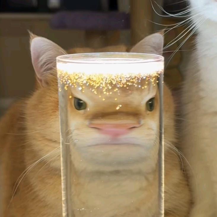 不能吃辣