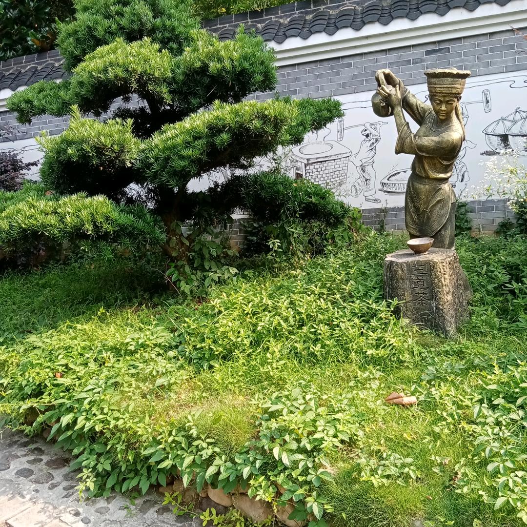 种优果