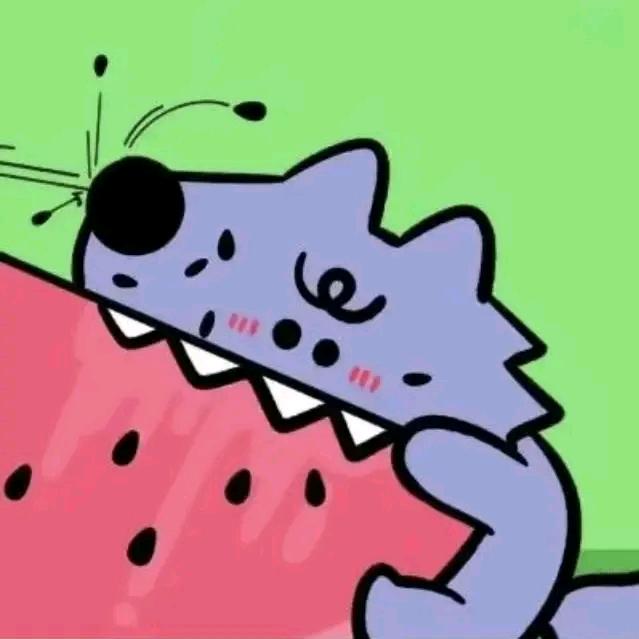 娄毛毛