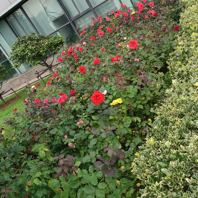 文书