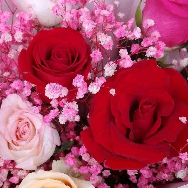 往后余生一个人