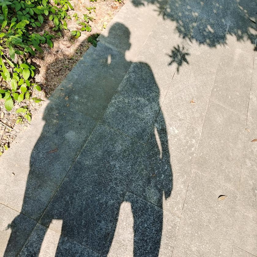 兔兔那么可爱🧐🧐🧐