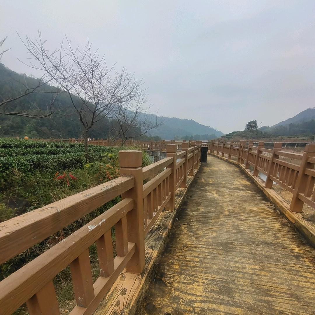 @云之城