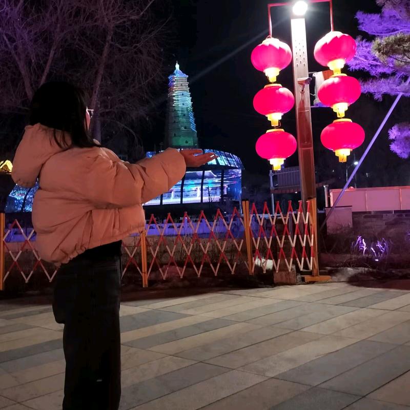 陈陈金金