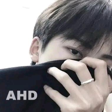 🐉护你🧚周全🐉