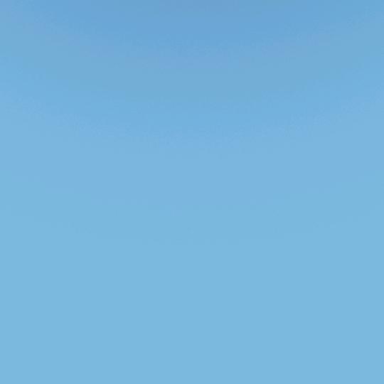 夏夜的春天